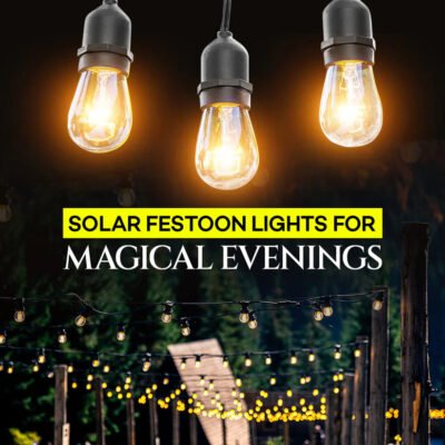 Festoon Lights